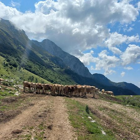 Hisa Za Gradom Διαμέρισμα Kobarid Εξωτερικό φωτογραφία